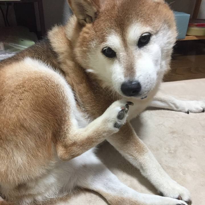 5be1c1fc 0939 47b1 aac5 18d6ad8bd802 1534417973595