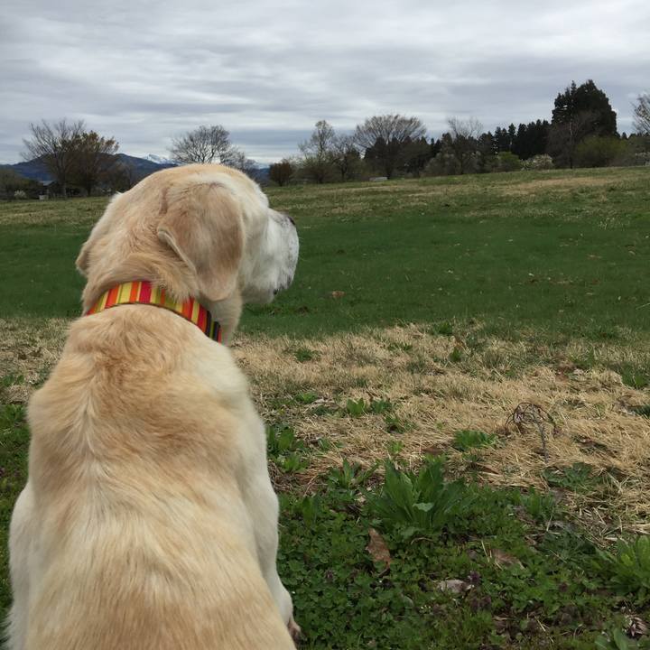 5be1c7b7 69e7 41ad 85cb 116c1efb2a3a 1524027642544