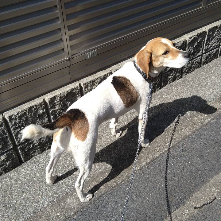 5be27e79 cbc1 41e7 8421 f25908d0ec6e 1620911328971