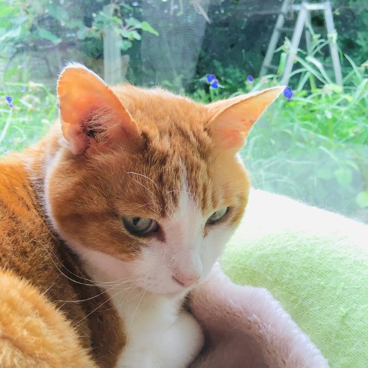 5be292c7 f03a 4593 9ce0 8d4d9e44c24a 1560653650824