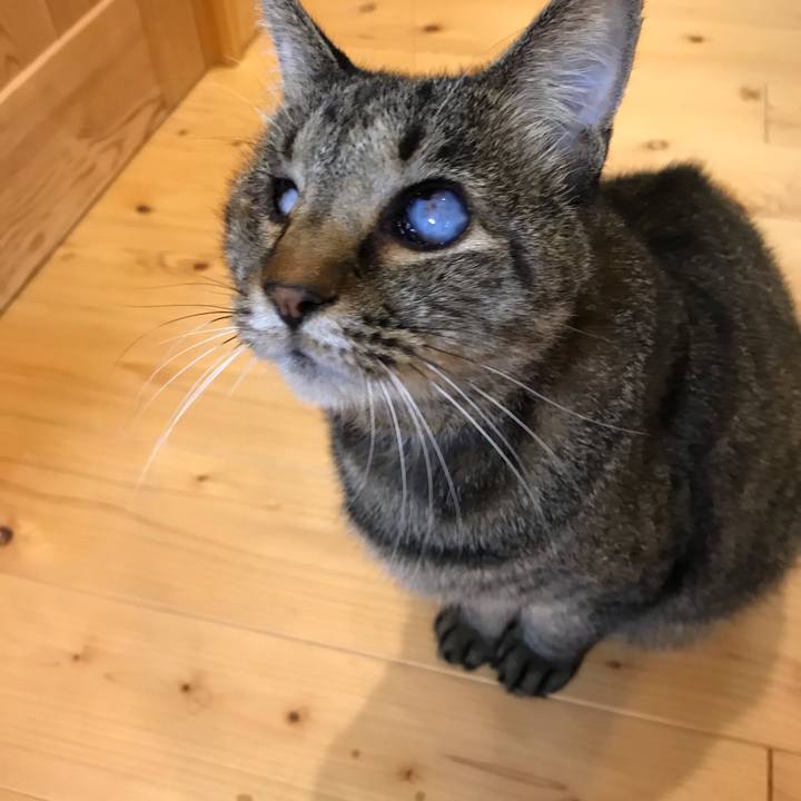 5be292db a73c 4e37 9714 34db210528a8 1602942455398