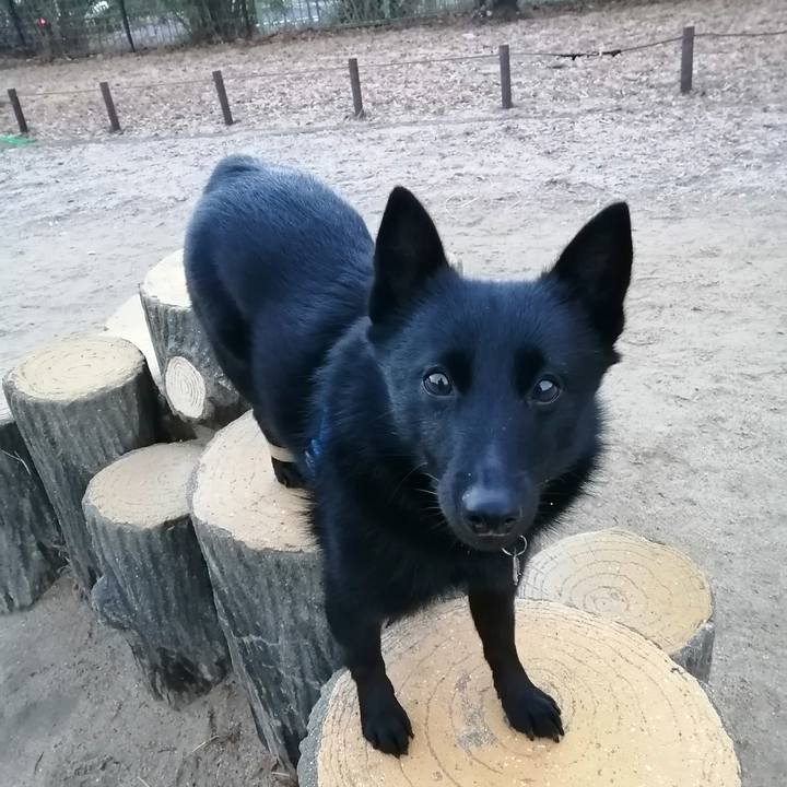 5be293fa 7e6b 4340 af13 6b1e11987dd3 1610576667780