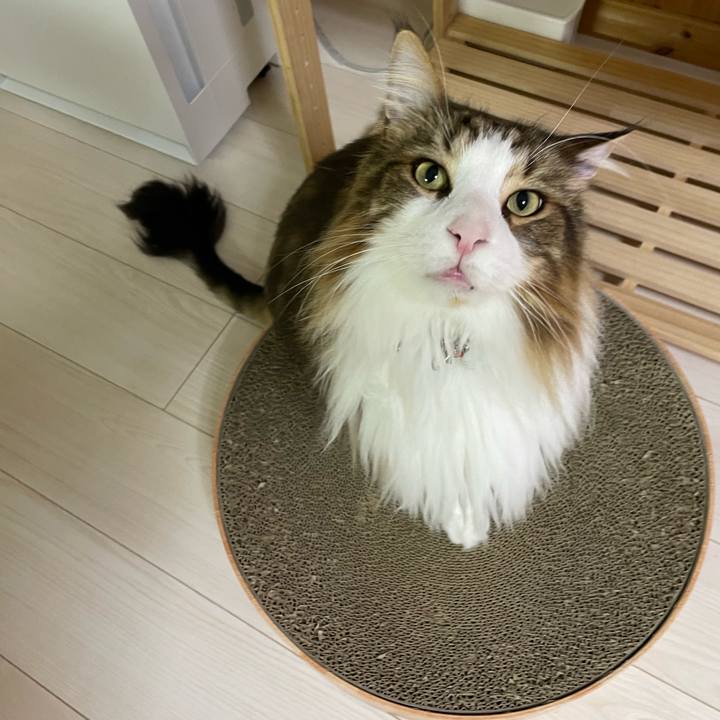 5be2ae3f c8eb 4241 973f 6c8b02792379 1692302210993