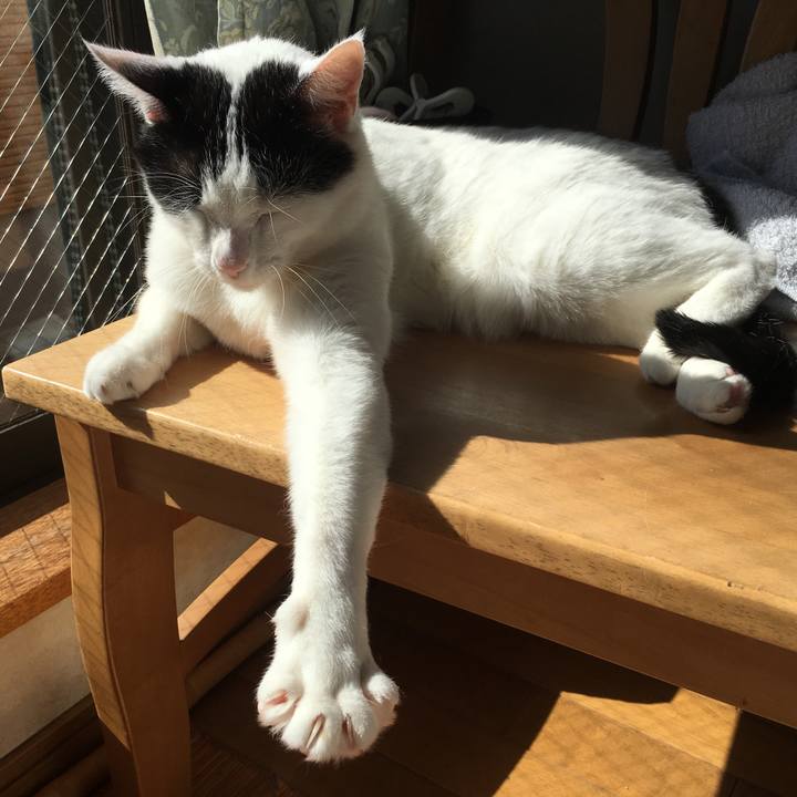 5be2c92f 601b 45dc b858 58277f8d88ab 1518327709917