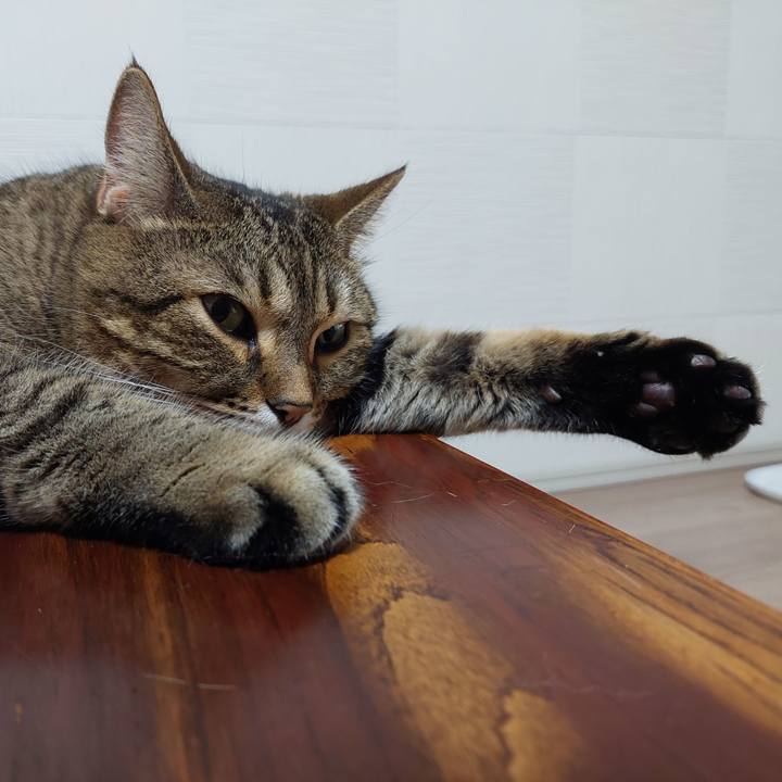 5be31c9e 2c9e 4d81 8691 e1b0c343de56 1632951714970