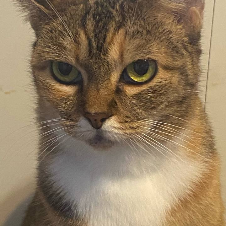 5be31df0 60de 4135 97d3 45fdd13ab124 1634434228958