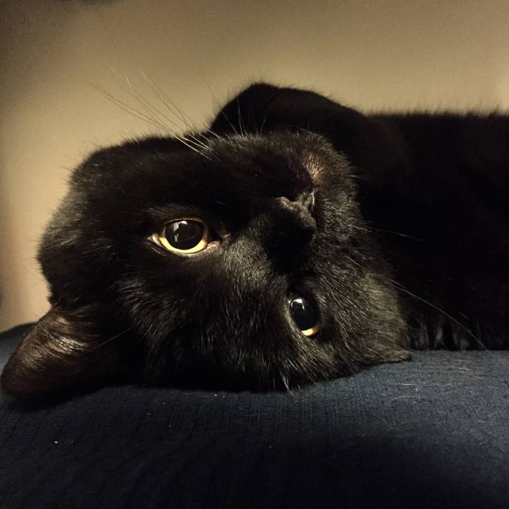 5be32c00 d2e1 4287 a1e5 1aa97ecb57dd 1589807094625