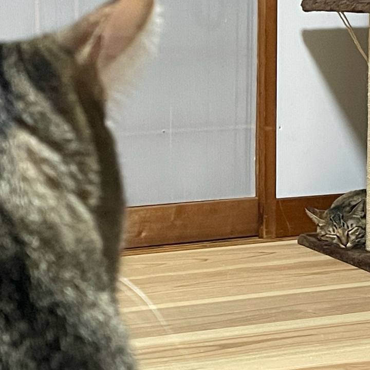 5be3666a 2b17 42b9 b35e 4aafba62dc49 1756975874178