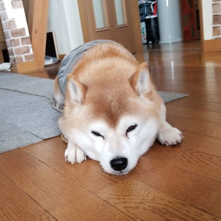 5be37252 800d 4f6b 8dbc c11ef8dc0839 1645582527864