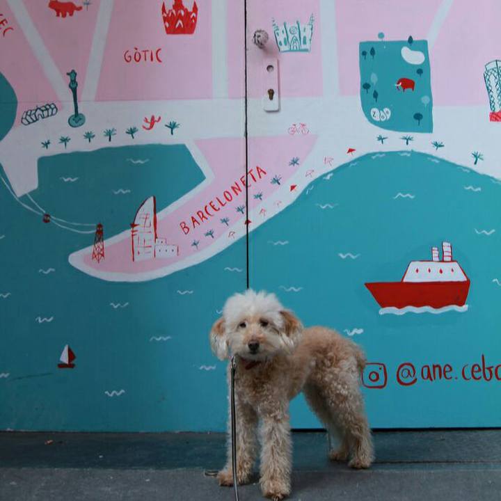 5be394fd 6ac1 412c abf0 c18e229a7fcf 1582495686522