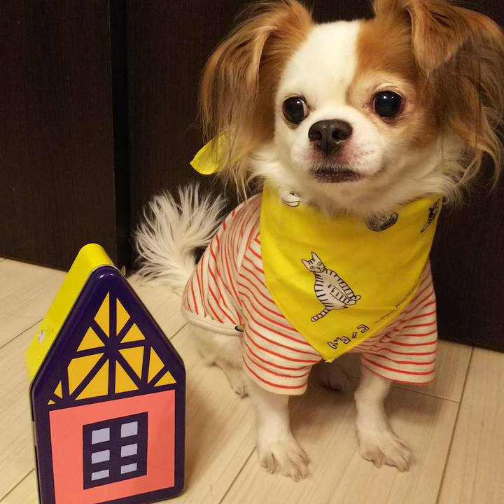 5be39658 56cd 4bf3 97dd b54be39c91a7 1511180458325