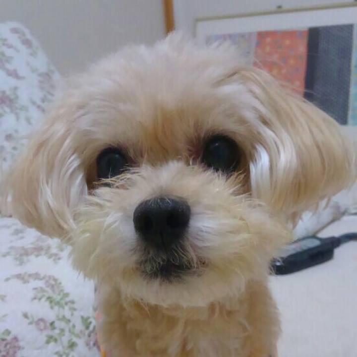 5be3ac39 55ef 4127 ac45 239be3514db4 1530879225733