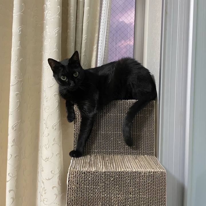 5be3c19f f23e 4353 8ee3 761a7a1bb48b 1757412598827