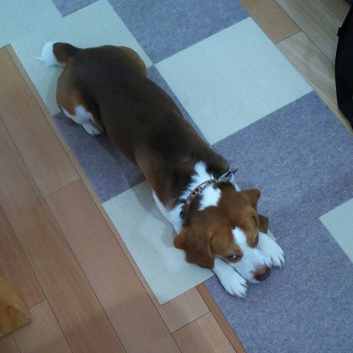 5be3d4ae 52a7 43e2 99c3 e2e16ce7ef0d 1593493655409