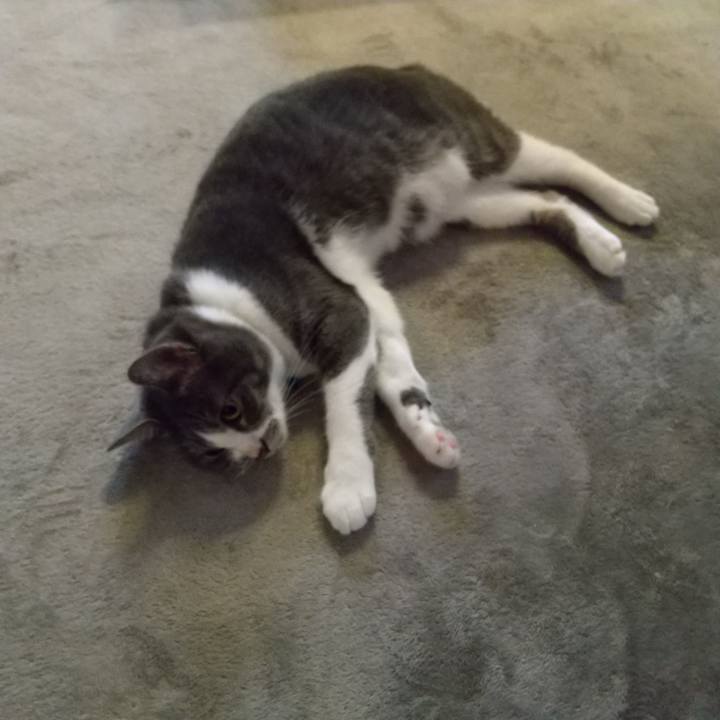 5be3d86a 176e 417f 94dd b67e7282d0aa 1600643222989