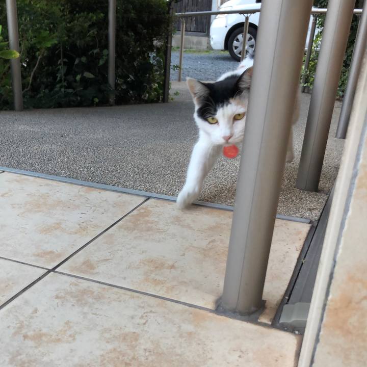 5be3ebbe 02f1 4242 872b 41088a546ef8 1632434858184