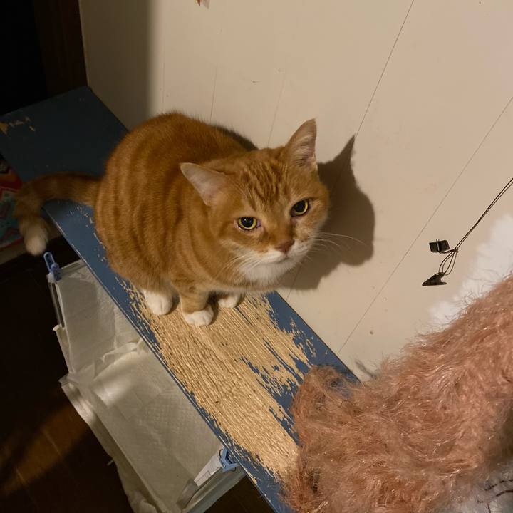 5be411ec bb81 401b 81b3 0f9b9bbe96cf 1670160155237