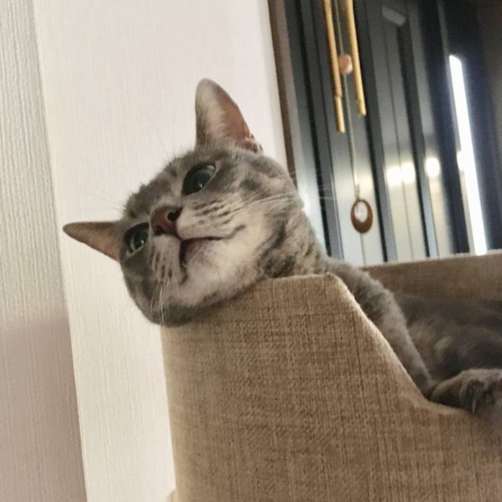 5be48df8 8de4 40e8 a5c0 b00278a0fbbb 1563672017980