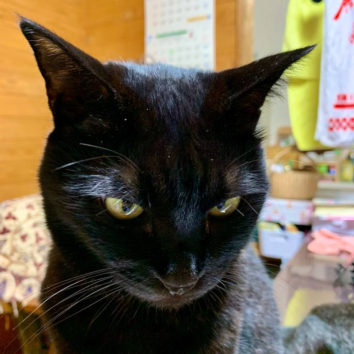 5be4c175 3649 4ba9 b177 757d41c85d75 1658577435764