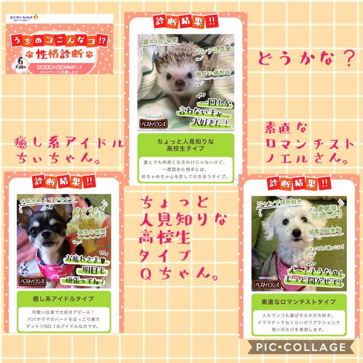 5be4d3bf 5baa 4c70 a5d8 568b9e9dc6e4 1542096795642