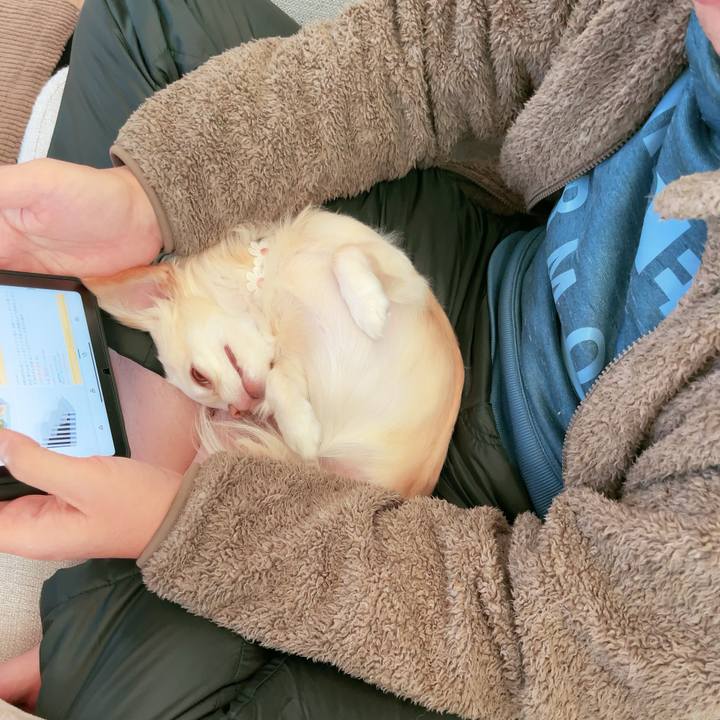 5be4e497 8f5a 470e aac3 efb0f7b33725 1700791395579