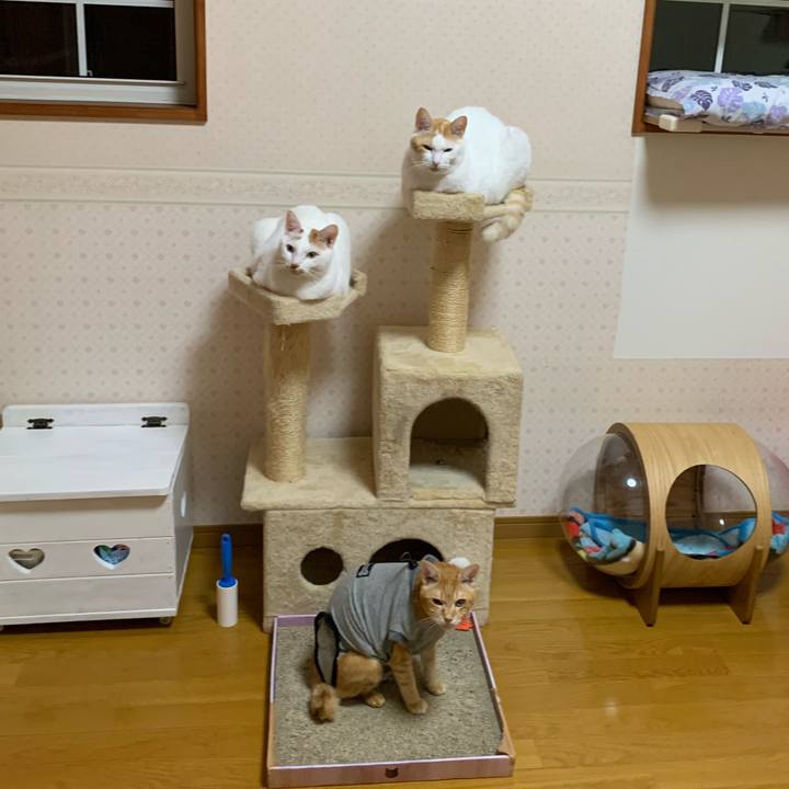 5be4eec6 9a13 4c6b bea0 537bc2ce6c5f 1635275837390