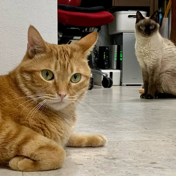 5be523df 51ca 4a5d 9714 c97c678b1ecb 1627690029753