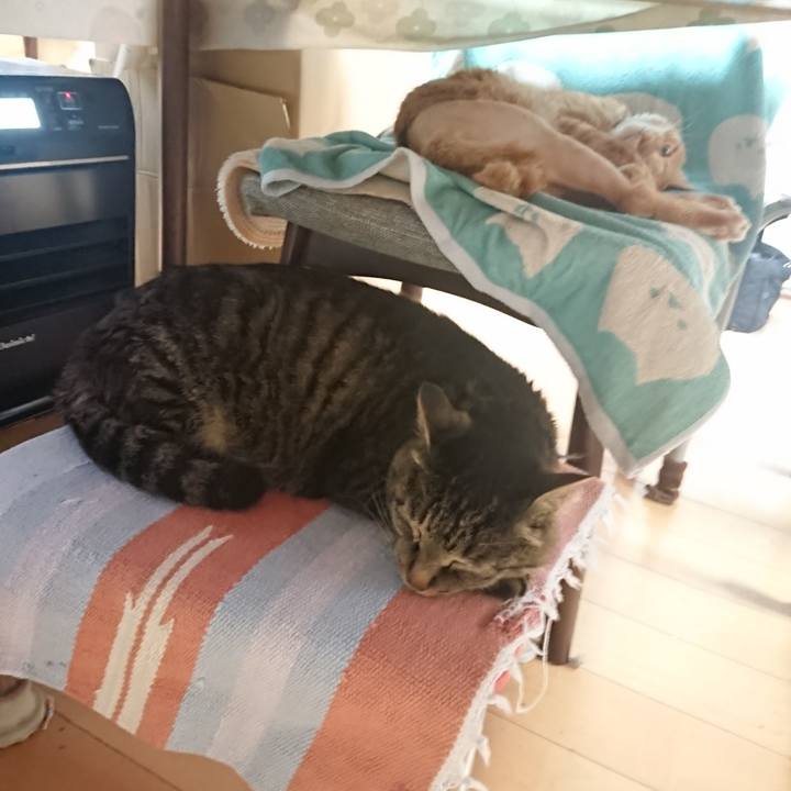 5be54cb3 d6a3 4f33 8688 def73ef72d08 1654639025698