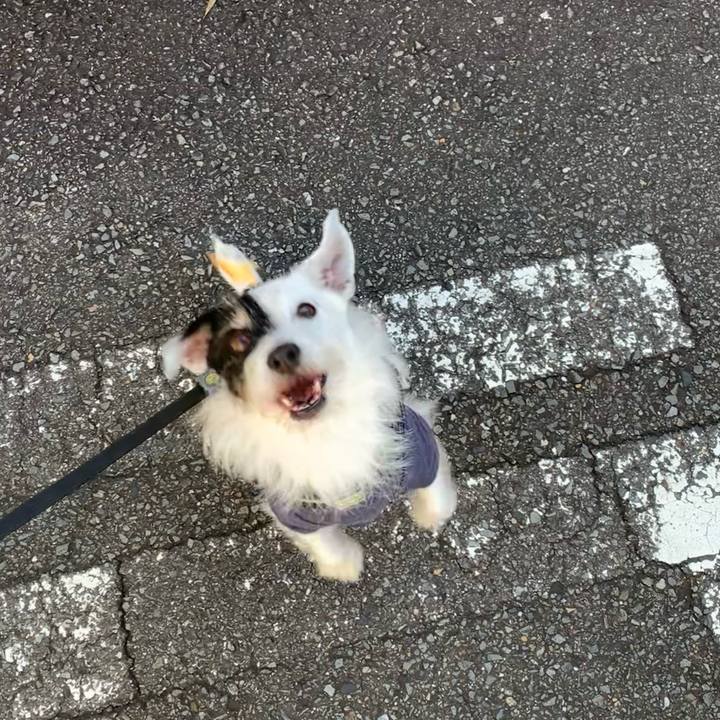 5be5512f a757 4455 9e90 dc462d9b6ec6 1730936068968