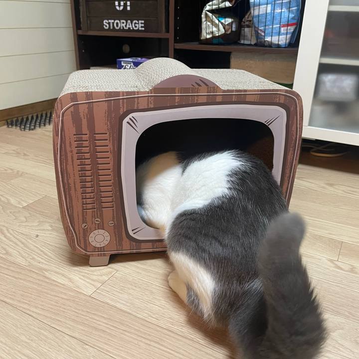 5be56360 272e 4ad4 bdf5 1e49faac2db5 1669274533599