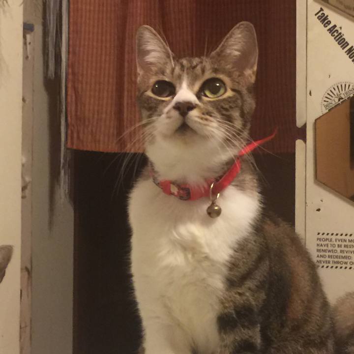 5be57dcd cf76 422f b85d 465a098cda18 1569589713706