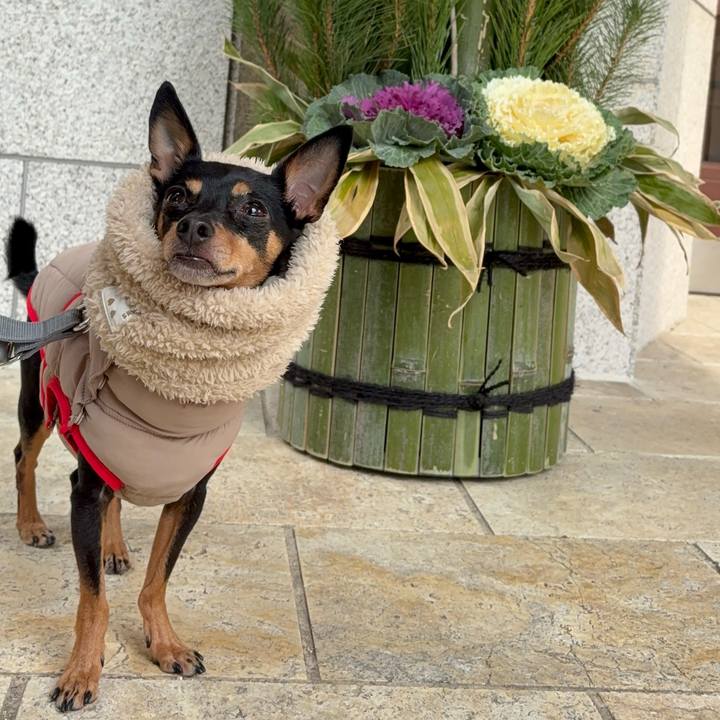 5be58414 c0b1 4462 9435 66de0f733510 1767194449706