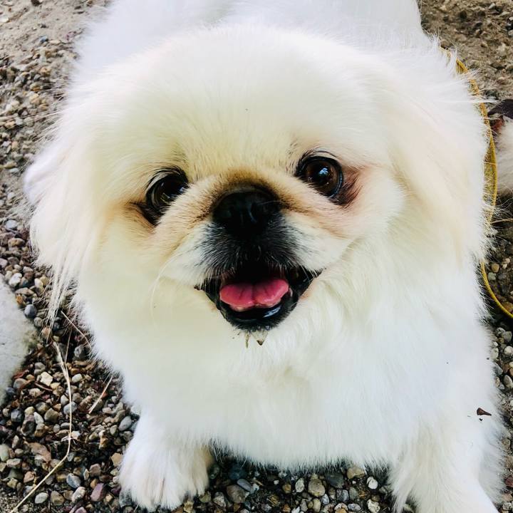 5be58b6c 515c 4f21 bda8 b5eca3f1c118 1624251628235