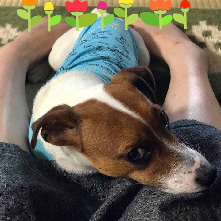 5be5aff1 c856 404f 819b dff01215fedf 1530657762887