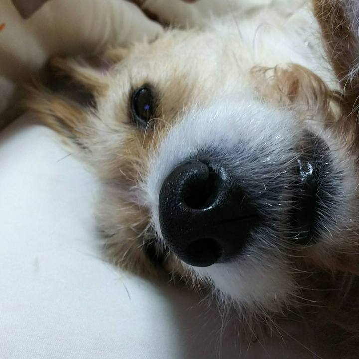 5be5d17c 9452 4f29 81cf d11aac1475a2 1518438586956