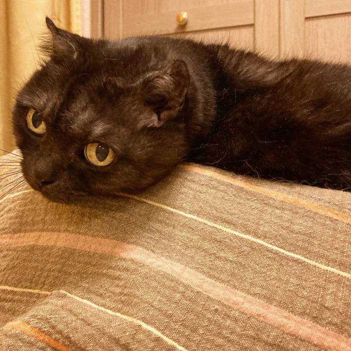 5be5dfab 4de7 40fd b8dc 7dc3976dc714 1590681354759