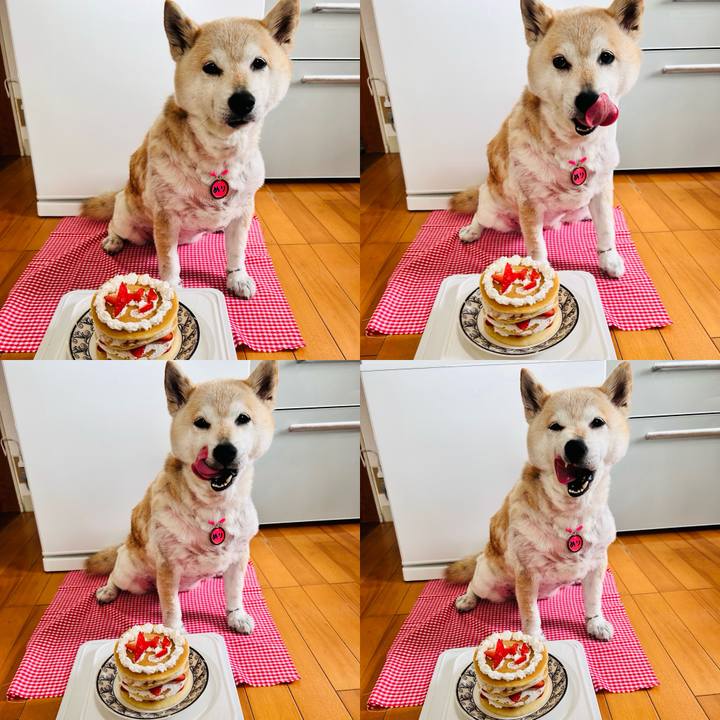 5be5f402 29d2 44e5 8682 e7a9495a04e8 1746777513114