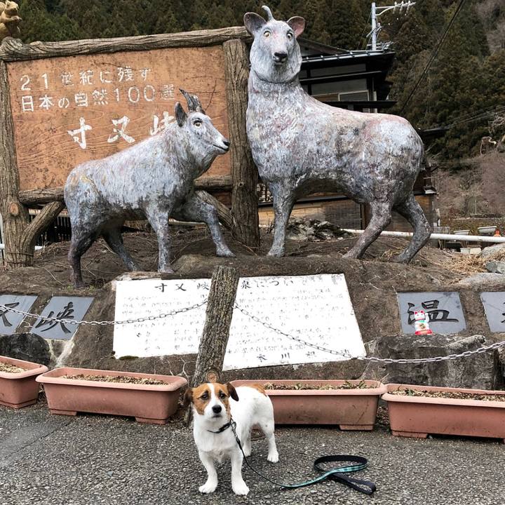 5be63932 b7f9 4712 9dd7 c2606efa0245 1520080491345