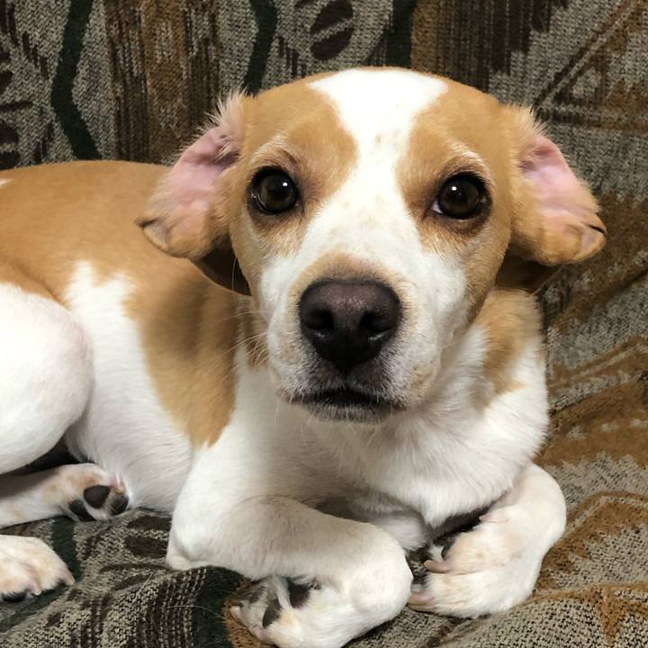 5be64282 2c7c 4698 a394 97a6c7b1848a 1633612483343