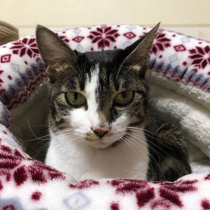 5be64a92 8063 45b7 80c7 2fcb169b44f9 1603466862380