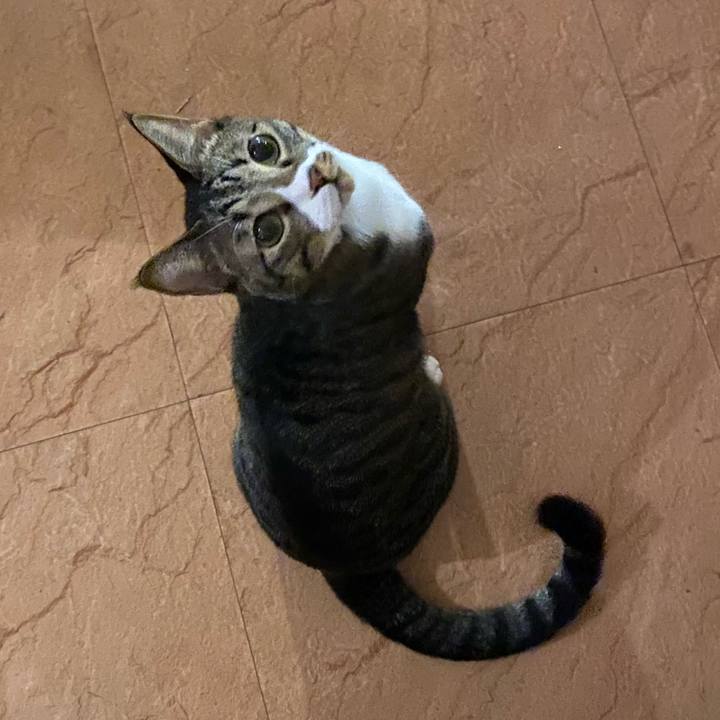 5be6a214 003f 4faa a95c 0e4dfb2f82d3 1695632466798