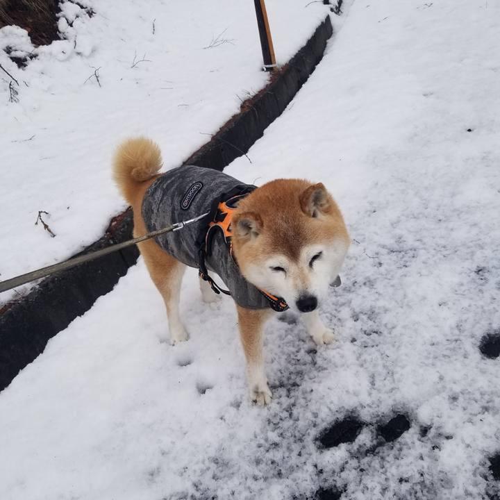 5be6a8c7 6b2a 4d9c a91d 8f71536c9b62 1711164326023