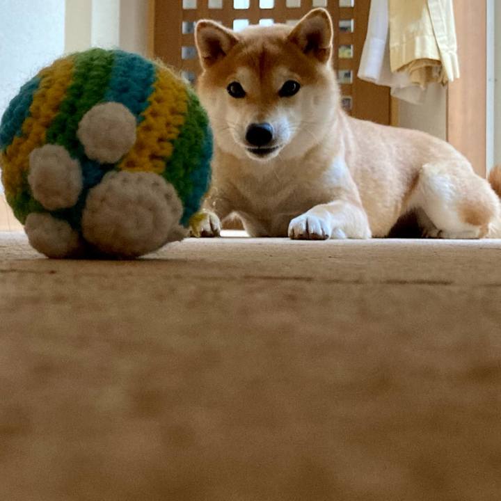 5be6cfba 92b9 4ba5 b57b a4ac38f8a0a0 1677292118548