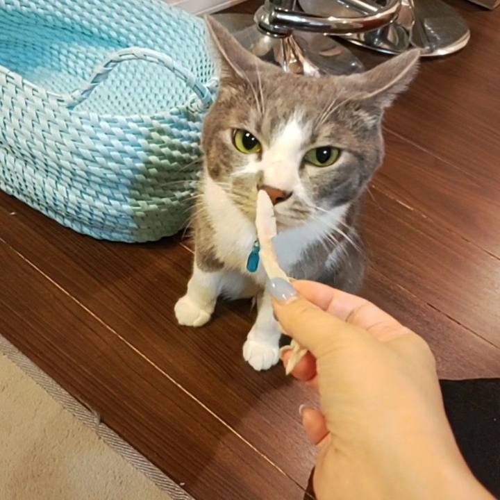 5be6d70f 48b2 4e7d b212 7b8c1a0e6010 1659708968297