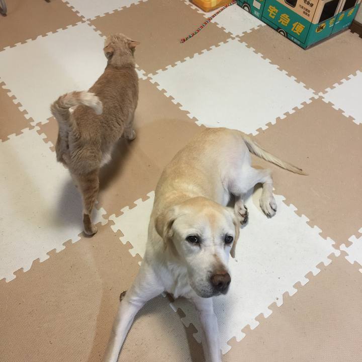 5be6eb15 e449 484e 8cf7 41bed5bb43be 1511441114667