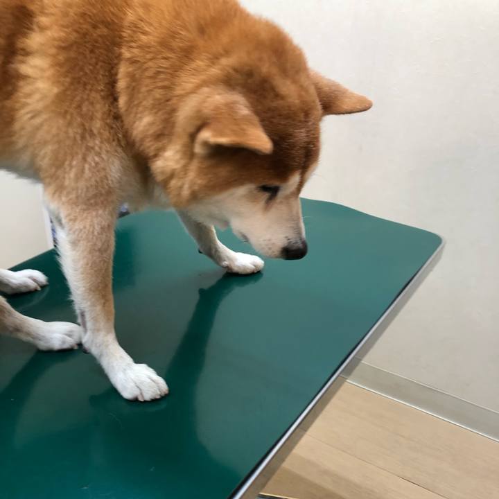 5be6f178 6f48 4ac1 99bb 4ff02efff034 1607812515800