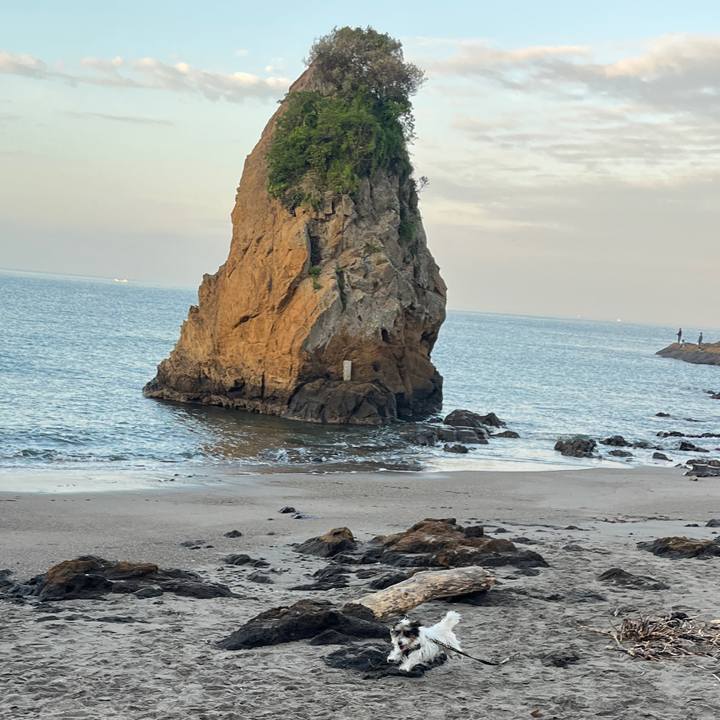 5be76266 8a0a 4088 a515 158e56eb2982 1759618379908