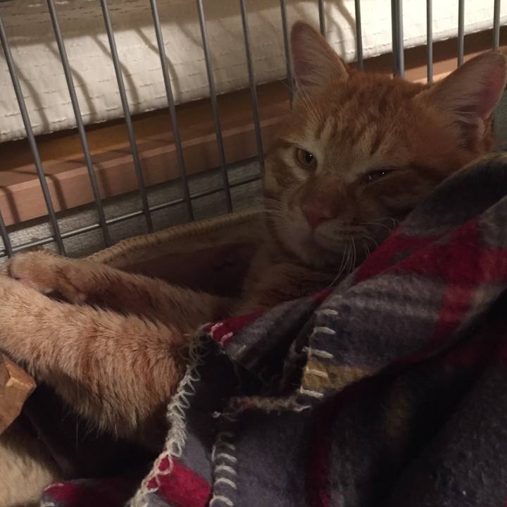 5be76f7f b262 40e8 b3ee cdfccc5c8790 1518787068744