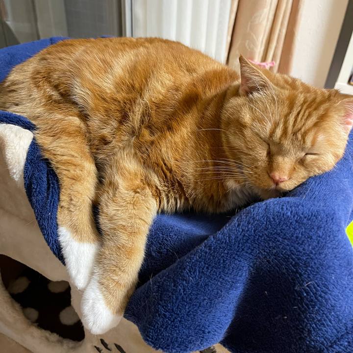 5be7898e ec4e 4213 86a3 195cb5a8a759 1644055045699