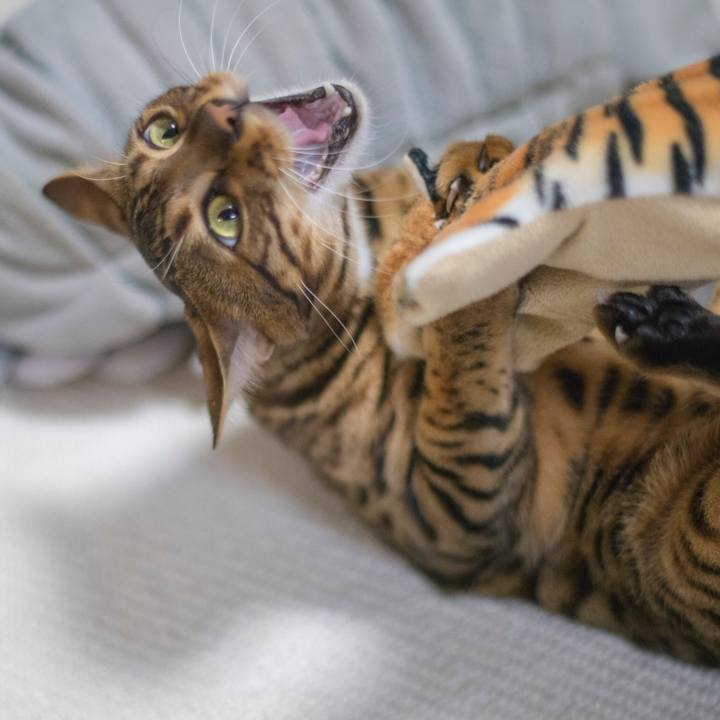 5be793e9 8d0d 40a5 93dc 0586d92120f9 1521910530062